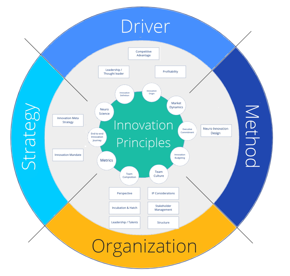 BlueCallom Innovations Framework